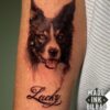 tatuaje mini retrato perro