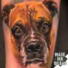 tatuaje mascota retrato boxer
