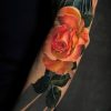 tatuaje brazo garza rosas